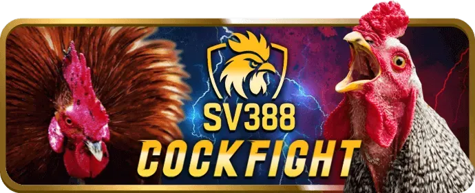 Tuyên bố miễn trừ trách nhiệm của 898bet trang chủ chính thức